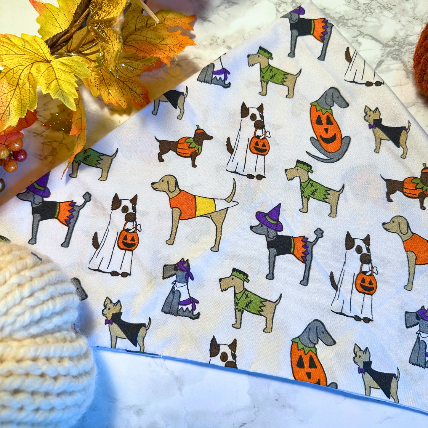 Fall Pups