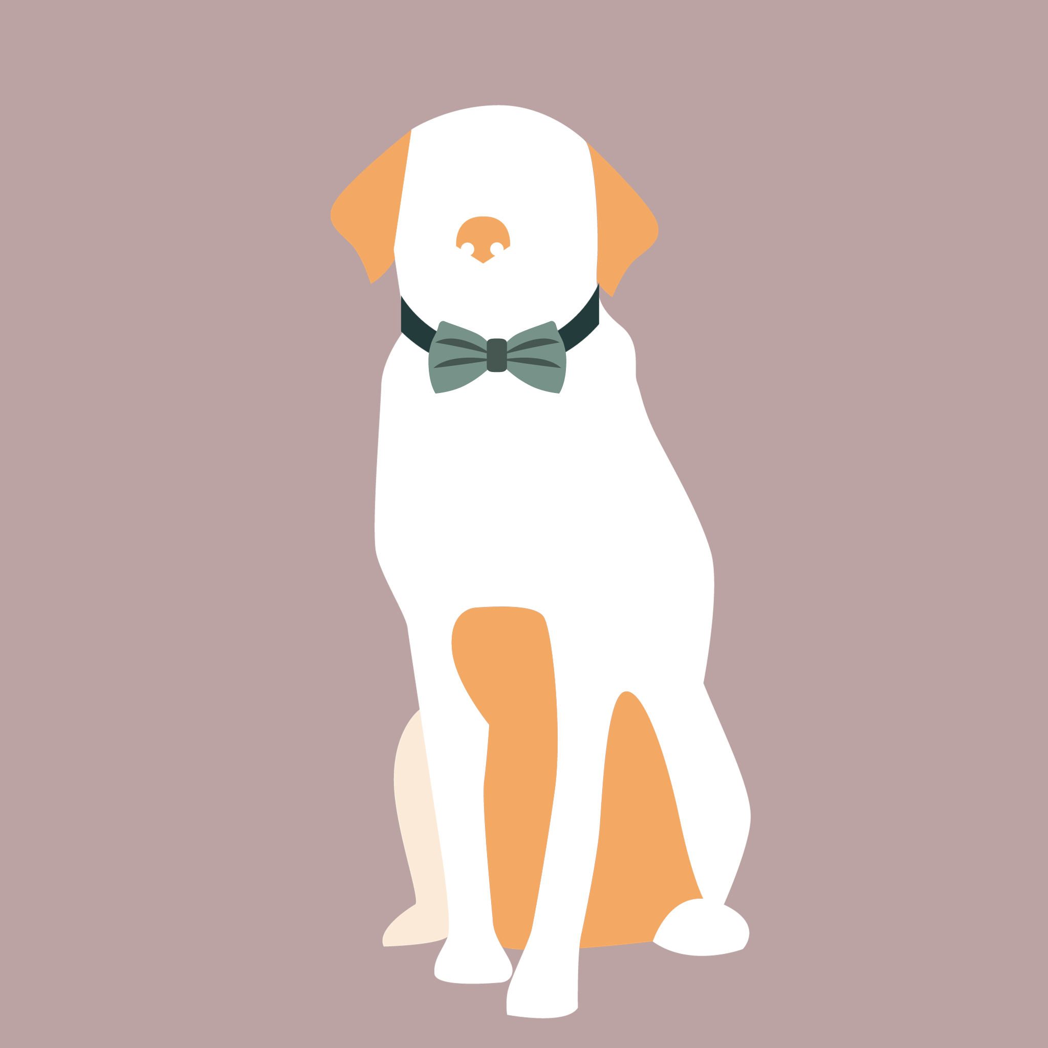 Dapper Dogs Club