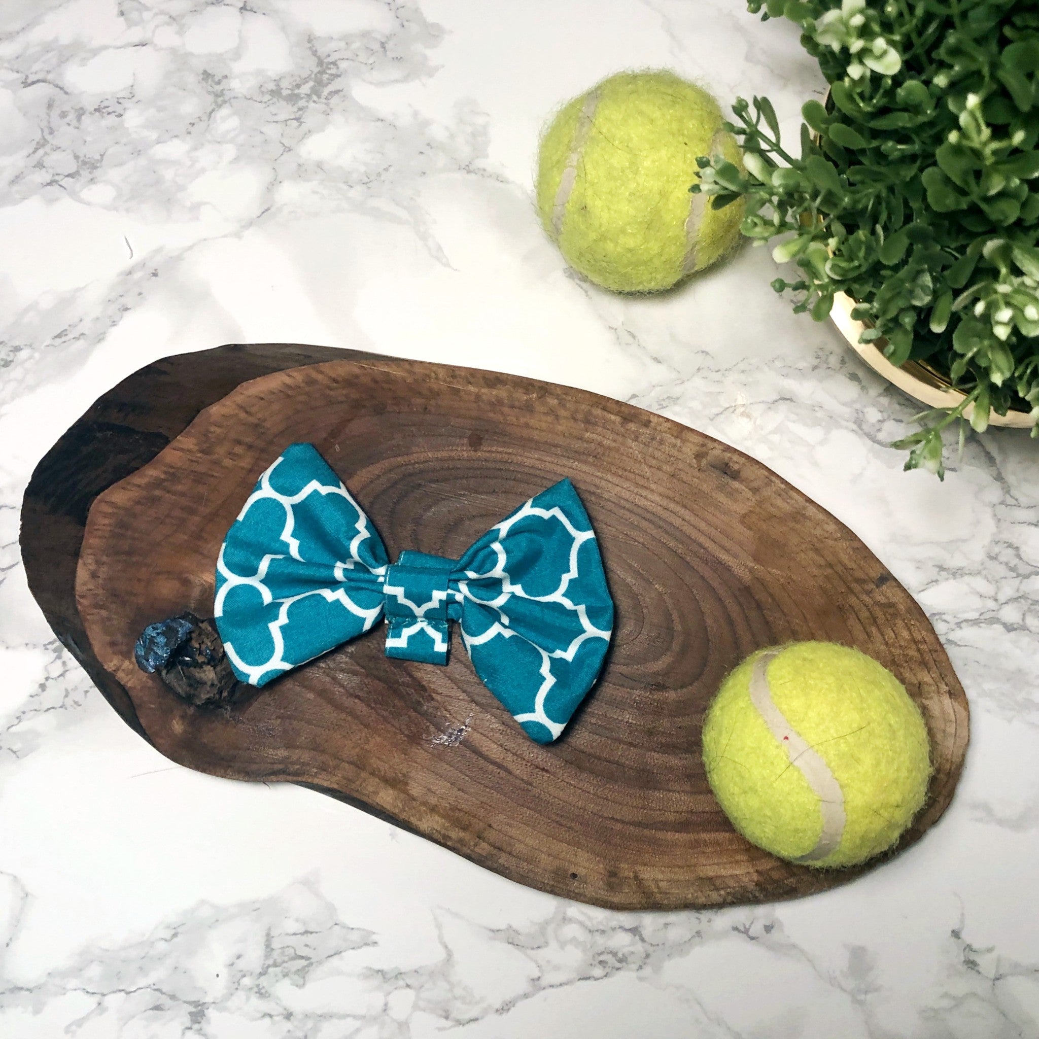 Dapper Dog Bow Tie