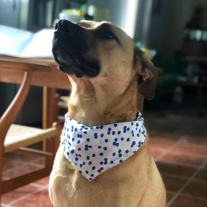 Perfect Pup Bandanna